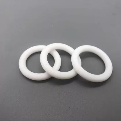 PTFE-O-Ring